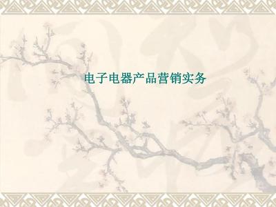 电子电器产品营销实务PPT